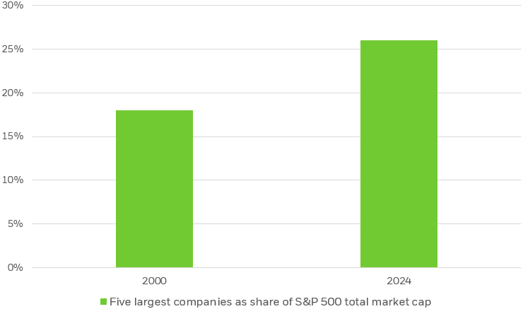 Bar chart depicting the increase in market cap share of the five largest companies within the S&P 500 from 2000 to 2024.