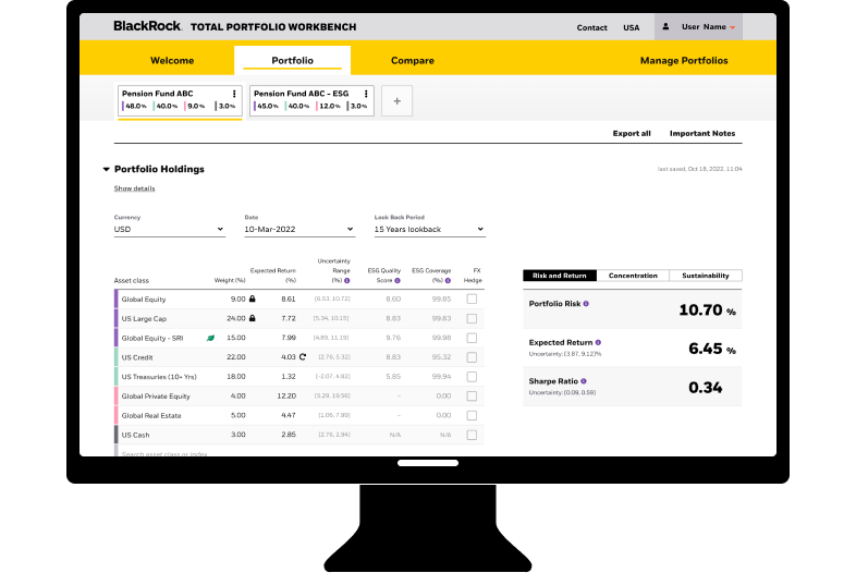 Example screen view of the BlackRock Total Portfolio Workbench tool